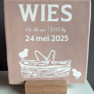 Tegeltje geboortekaartje kraamcadeau