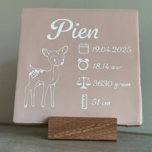 Tegeltje geboortekaartje kraamcadeau