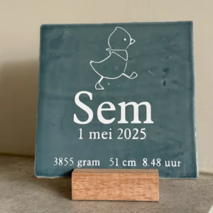 Tegeltje geboortekaartje kraamcadeau