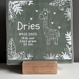Tegeltje geboortekaartje kraamcadeau