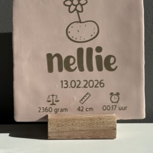 Tegeltje geboortekaartje kraamcadeau
